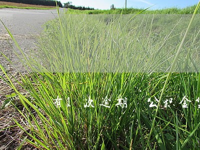 有1次逾期 公积金贷款 有1次逾期 公积金贷款